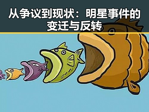 从争议到现状：明星事件的变迁与反转
