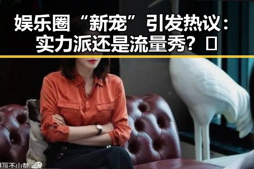 娱乐圈“新宠”引发热议：实力派还是流量秀？🤔