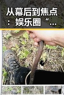 从幕后到焦点：娱乐圈“瓜王”的崛起之路与背后秘密